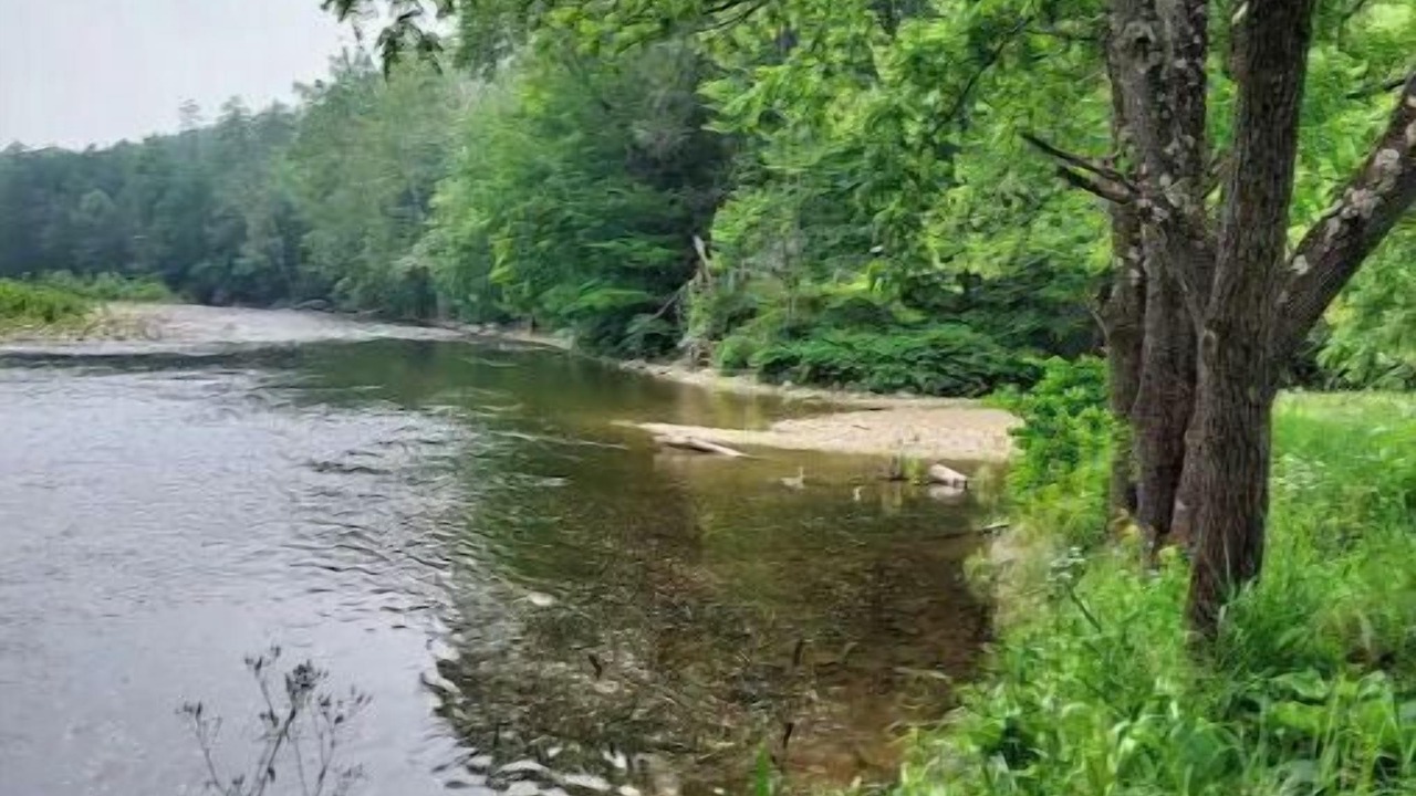 Photo of Outdoor in Bodines