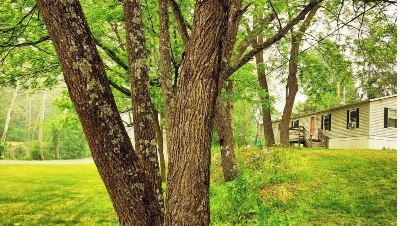 Photo of Outdoor in Bodines