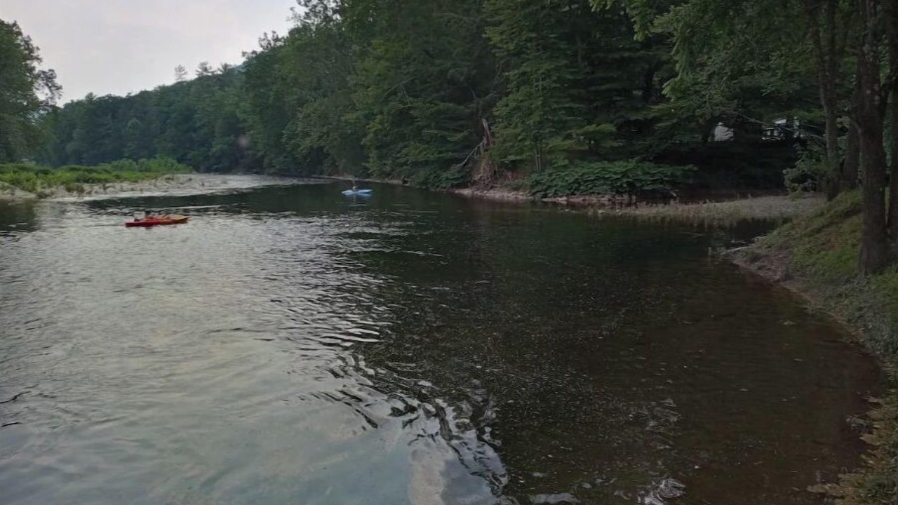 Photo of Outdoor in Bodines