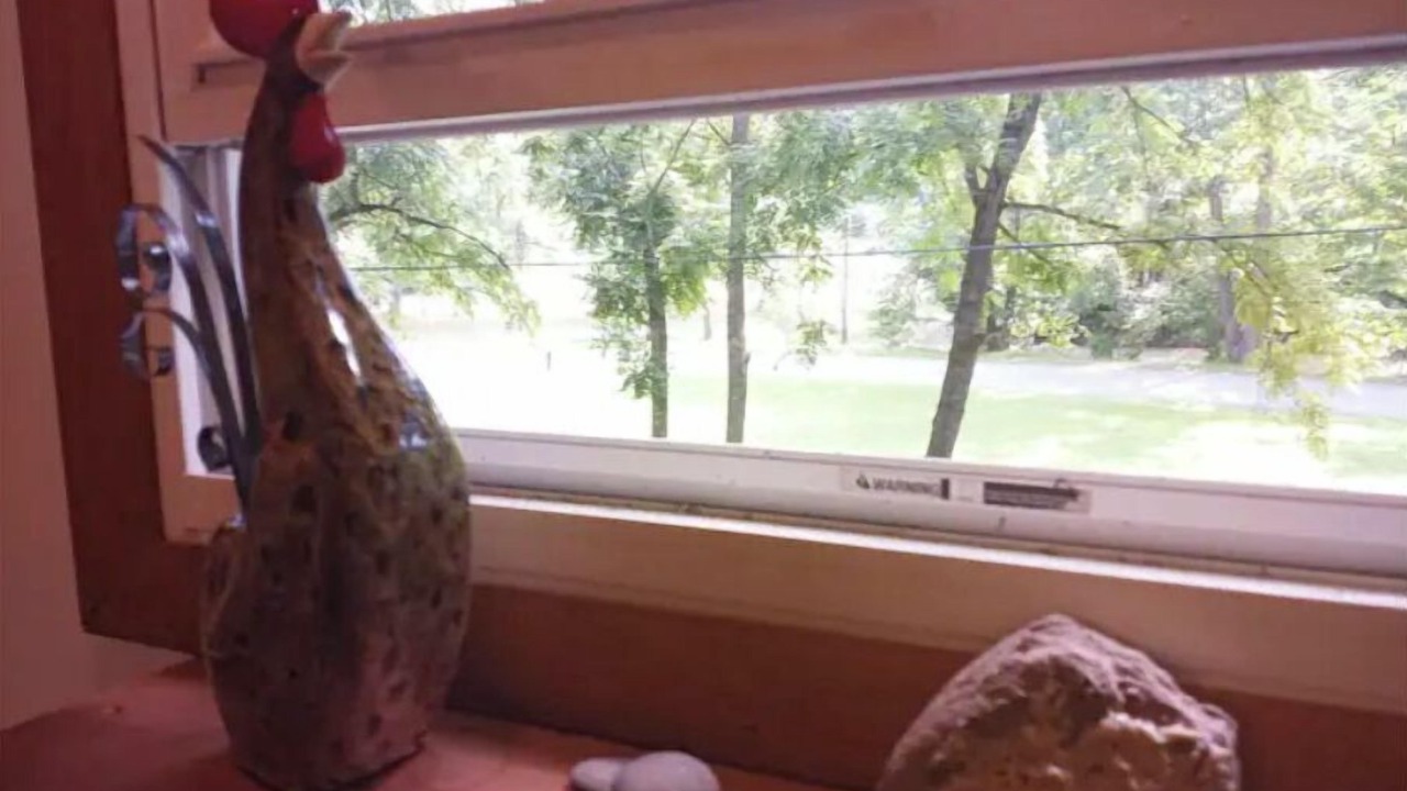 Photo of Others in Bodines