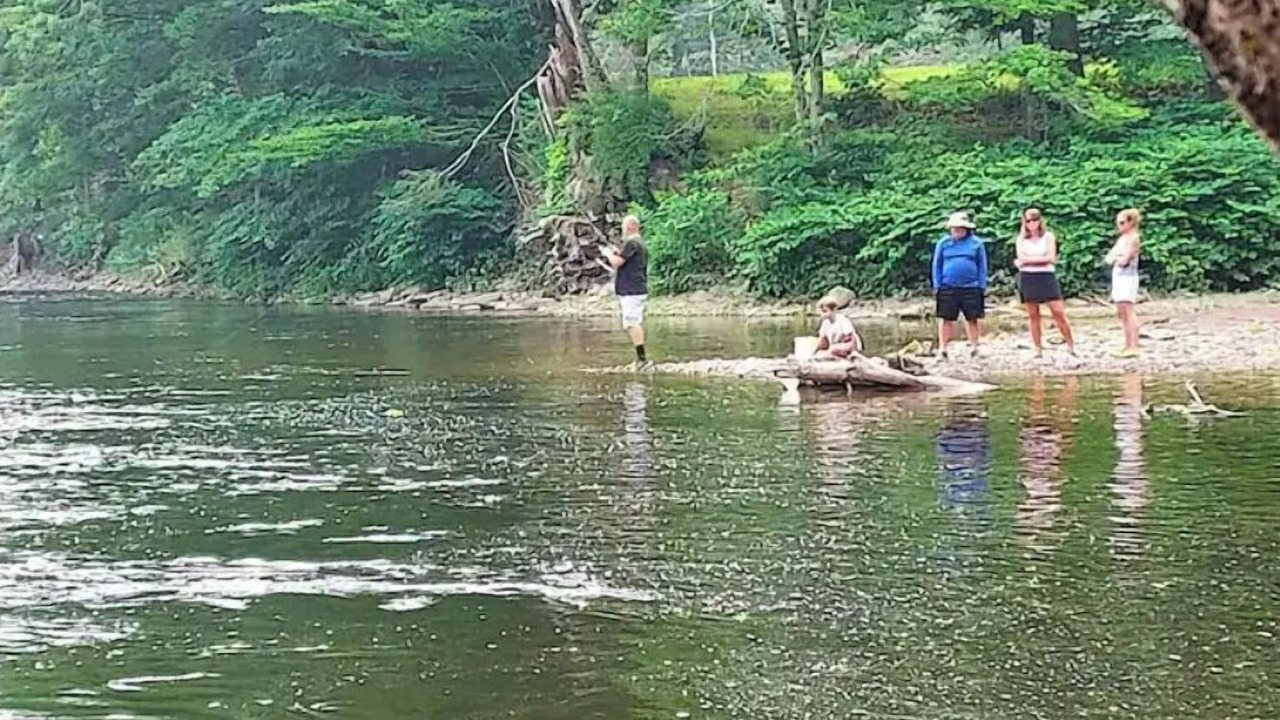 Photo of Others in Bodines