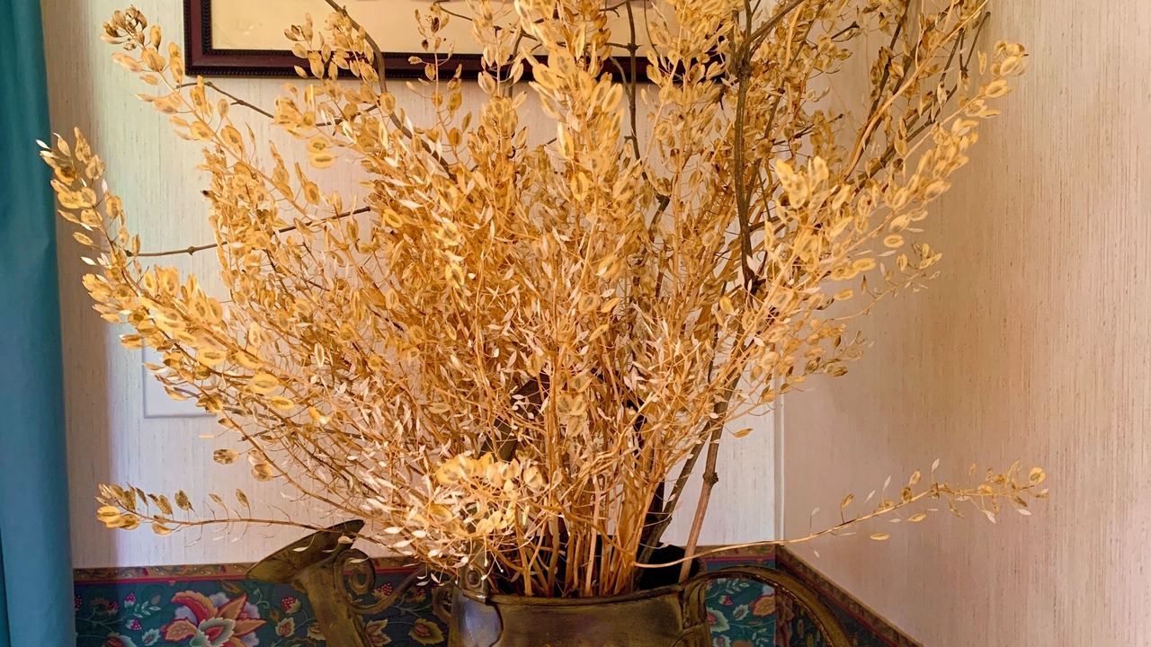 Photo of Others in Grafton