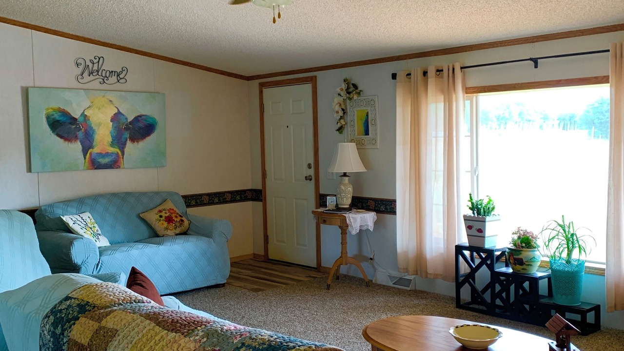 Photo of Livingroom in Grafton