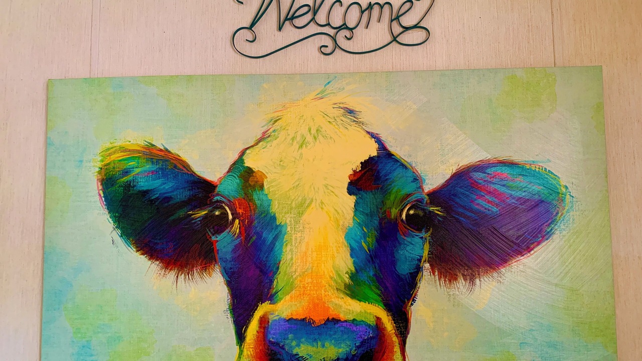 Photo of Others in Grafton