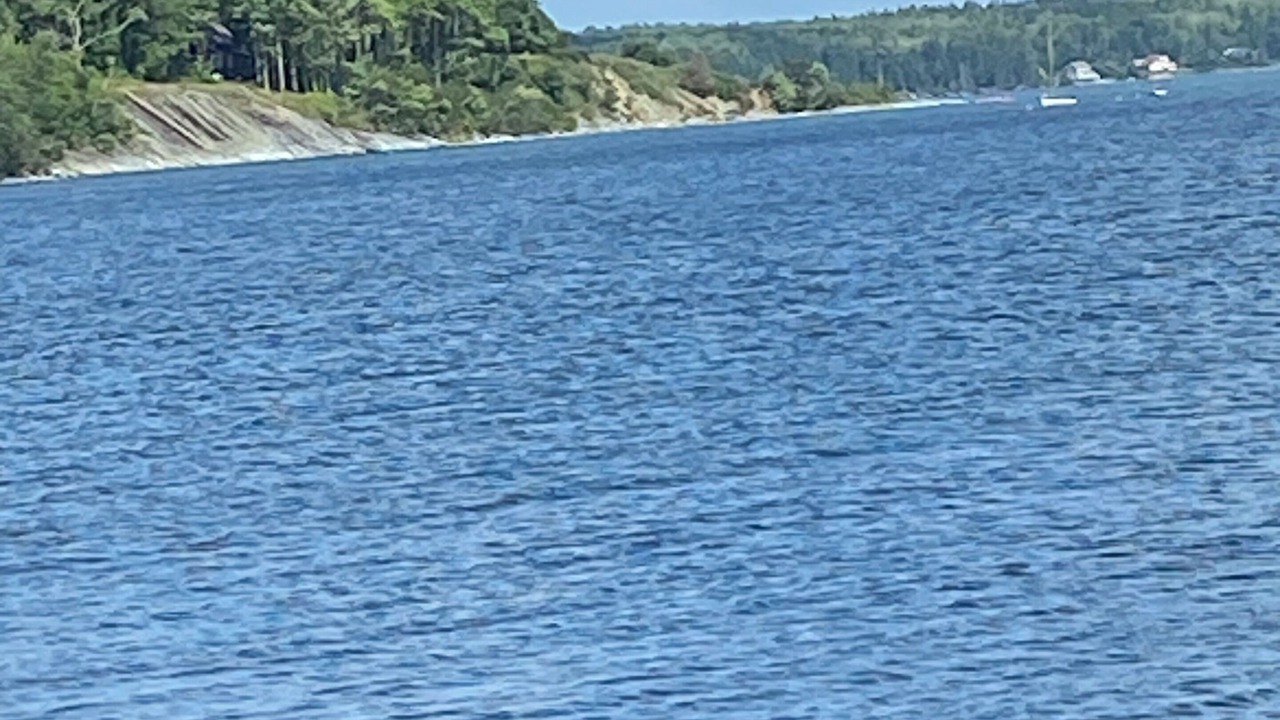 Photo of Others in Lamoine