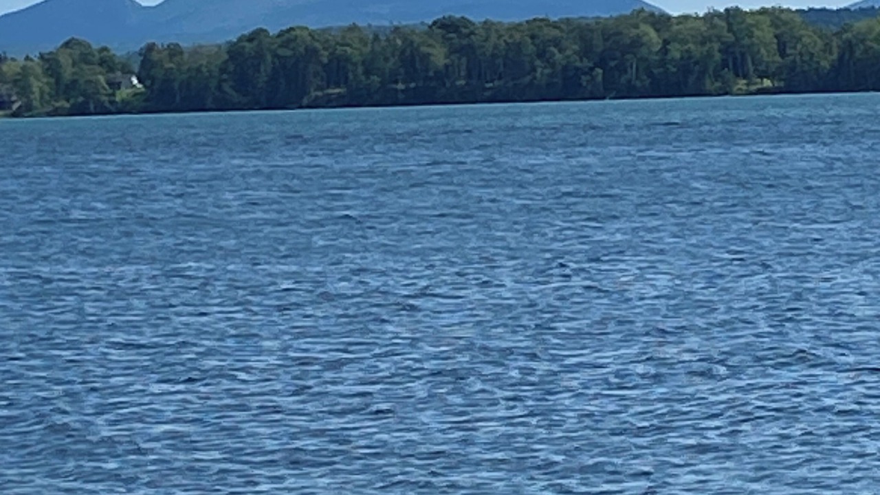 Photo of Others in Lamoine