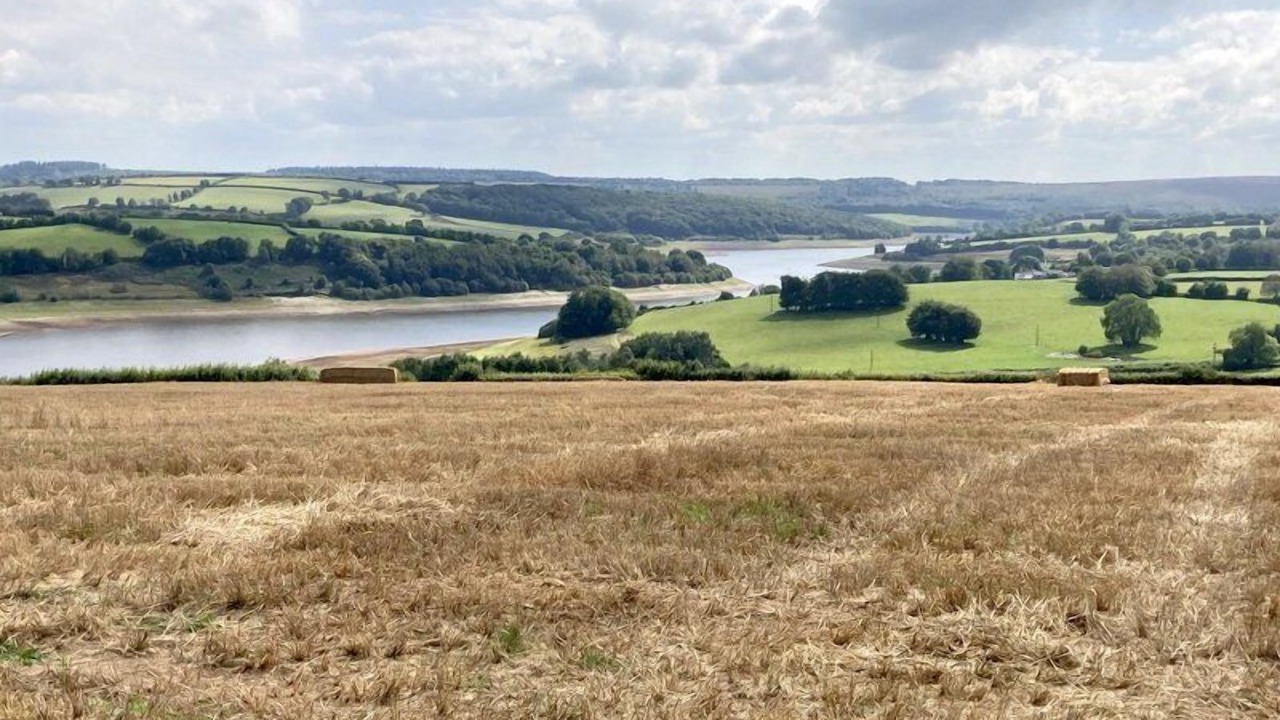 Photo of Outdoor in Dulverton