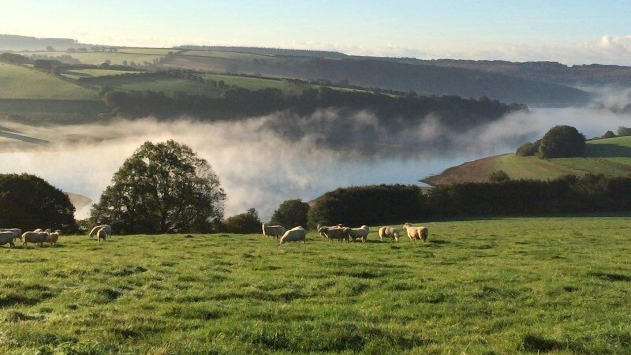 Photo of Others in Dulverton