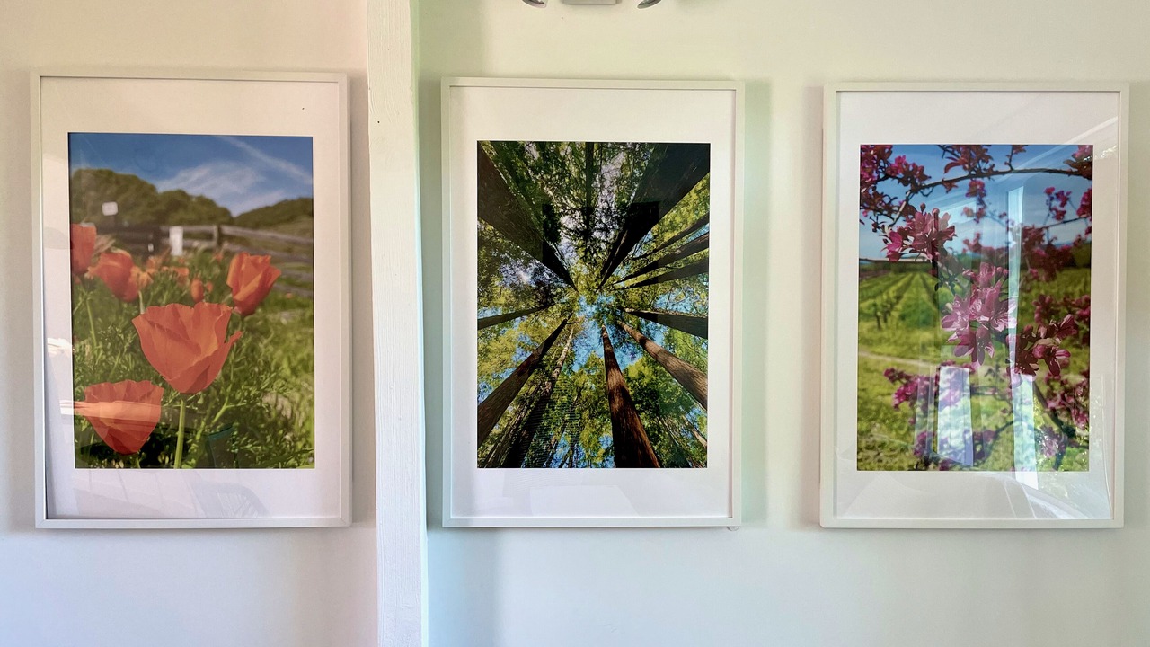 Photo of Others in San Rafael