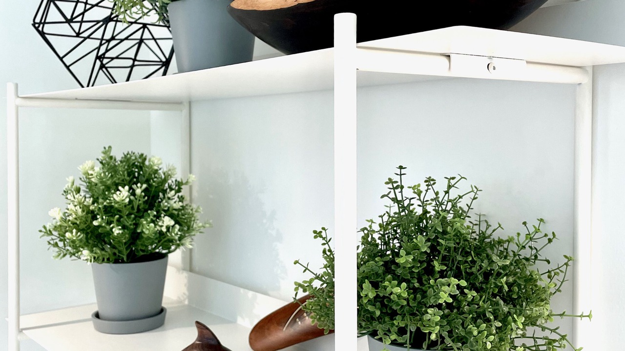 Photo of Others in San Rafael