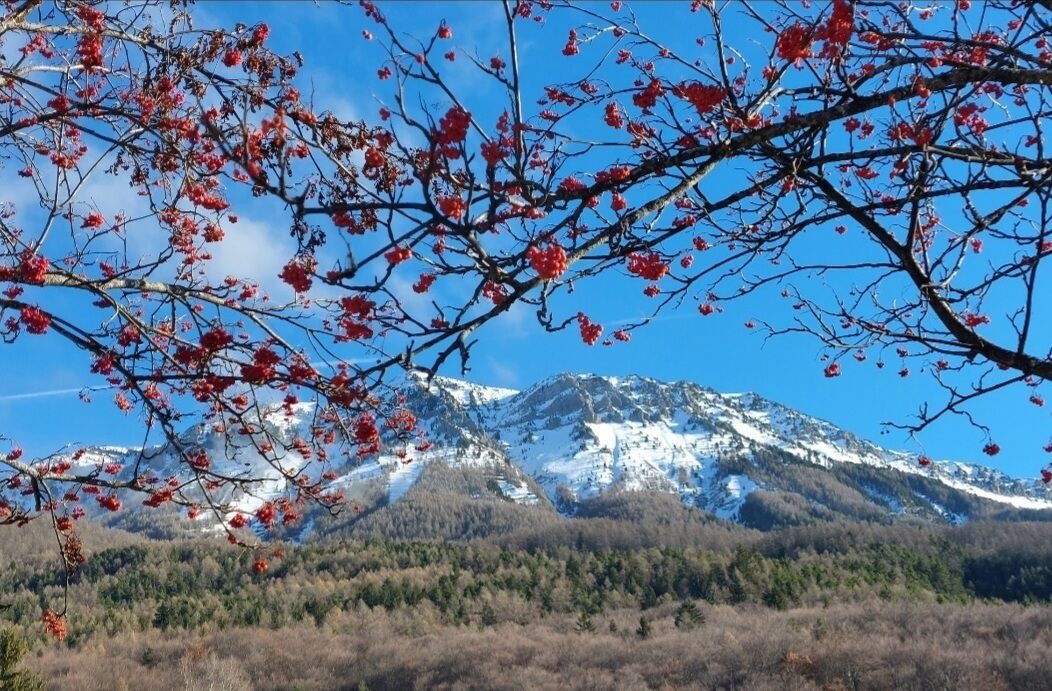 Photo of Others in Montclar