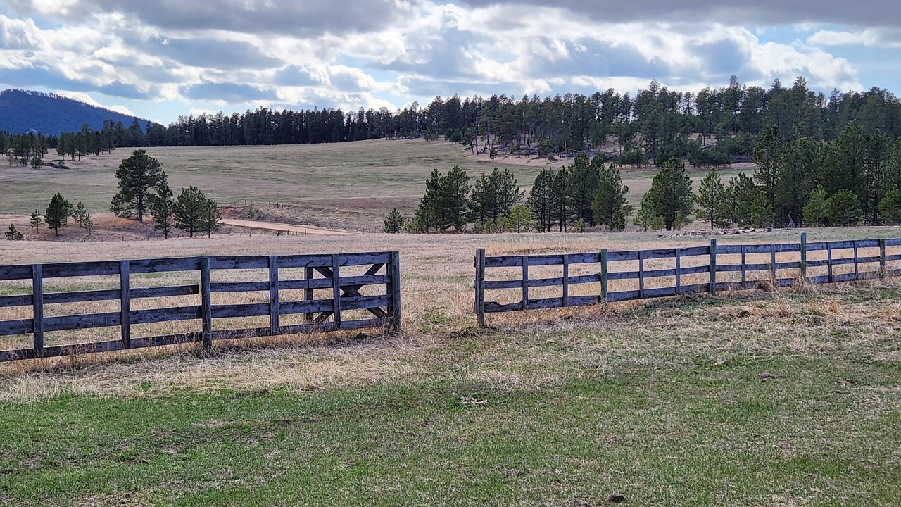Photo of Others in Sundance