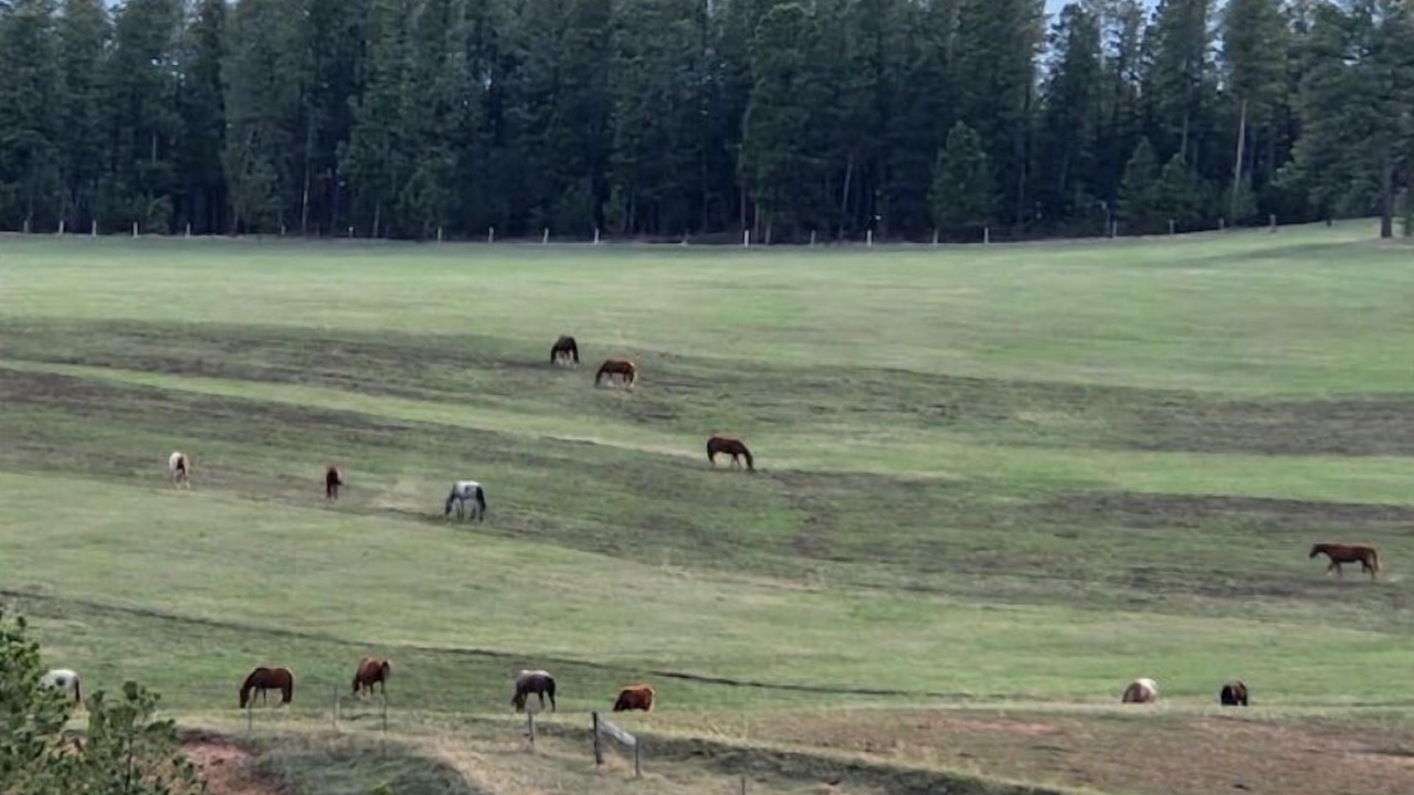 Photo of Others in Sundance