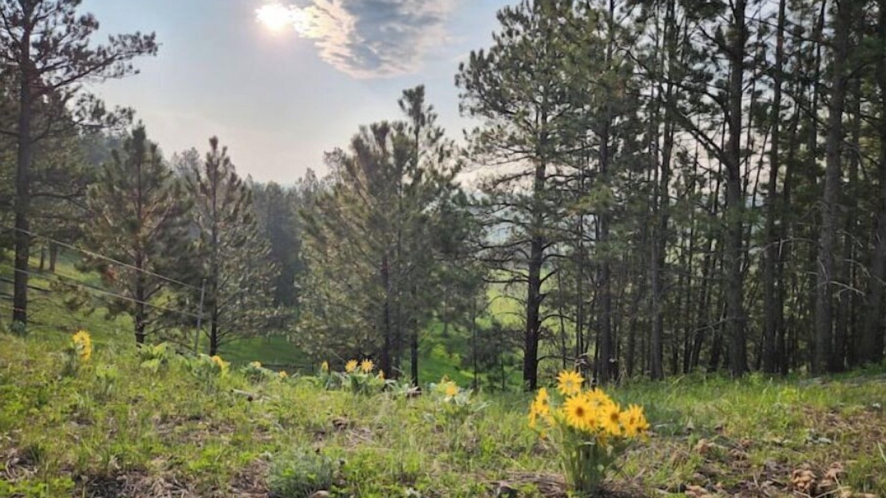 Photo of Others in Sundance