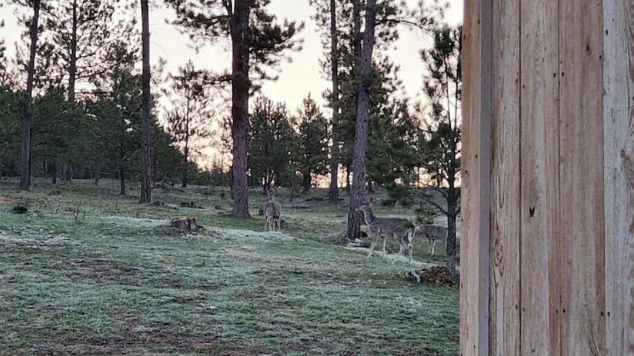 Photo of Others in Sundance