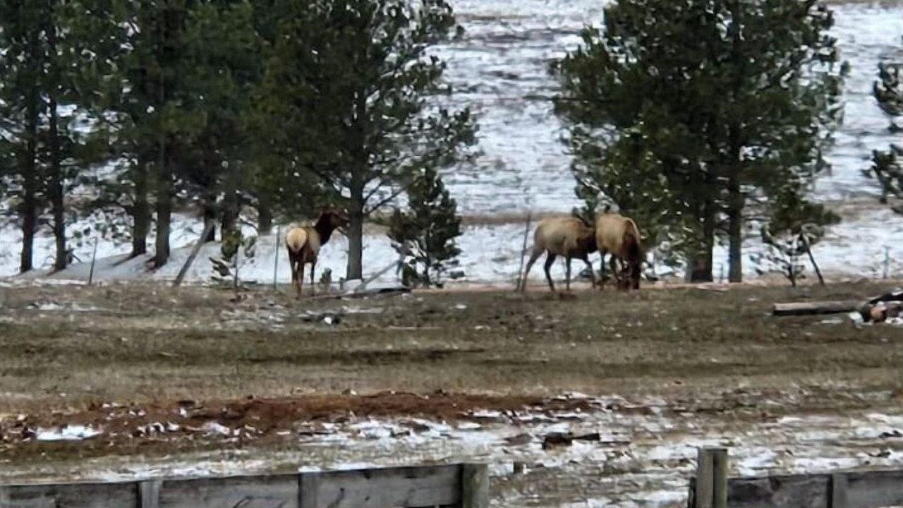 Photo of Others in Sundance