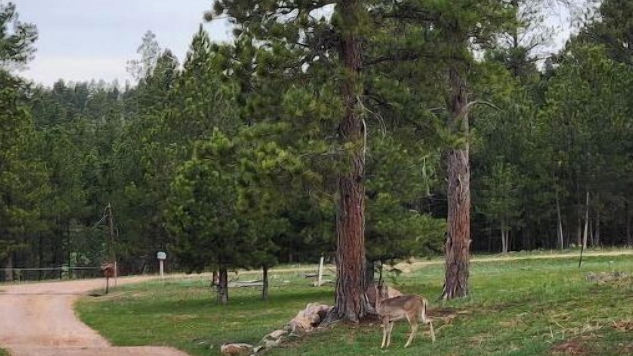 Photo of Others in Sundance