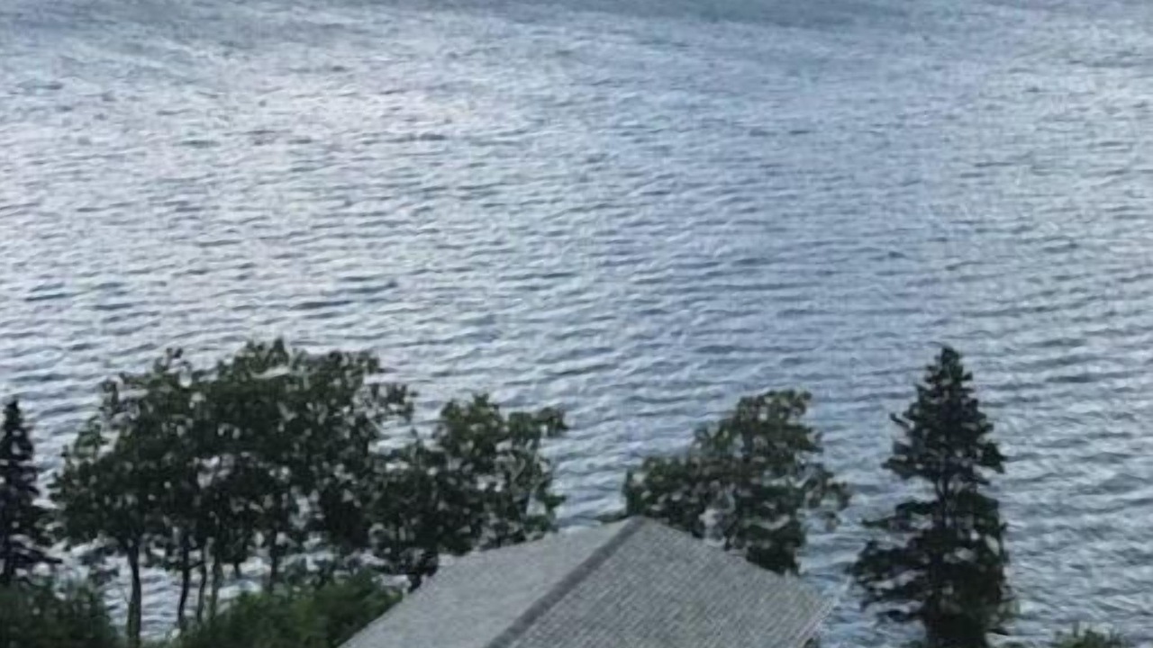 Photo of Outdoor in South Harbour