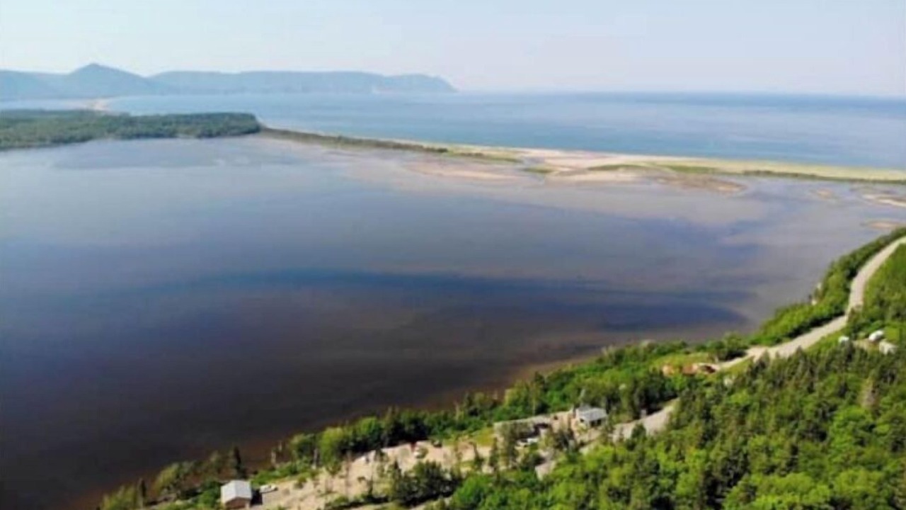 Photo of Outdoor in South Harbour