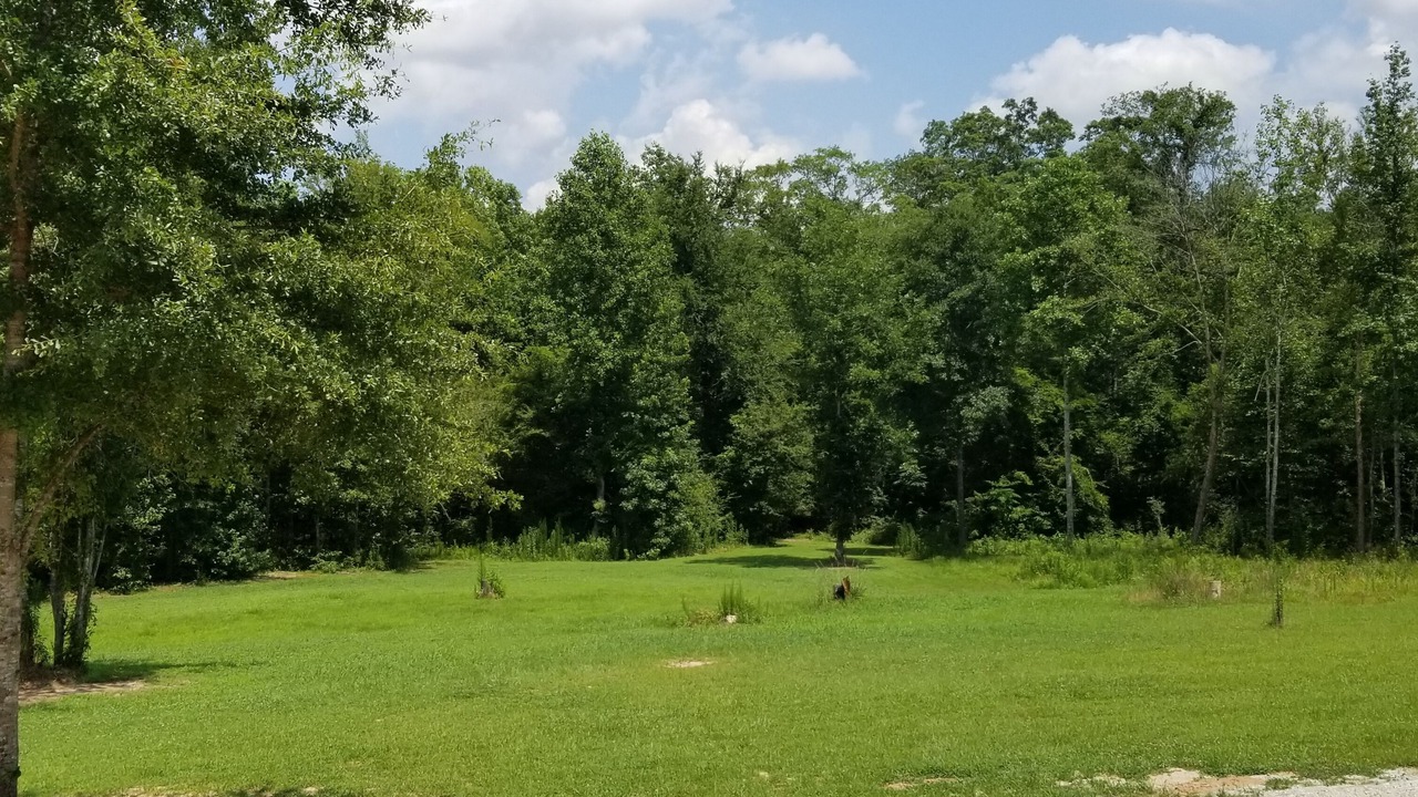 Photo of Outdoor in Phenix City