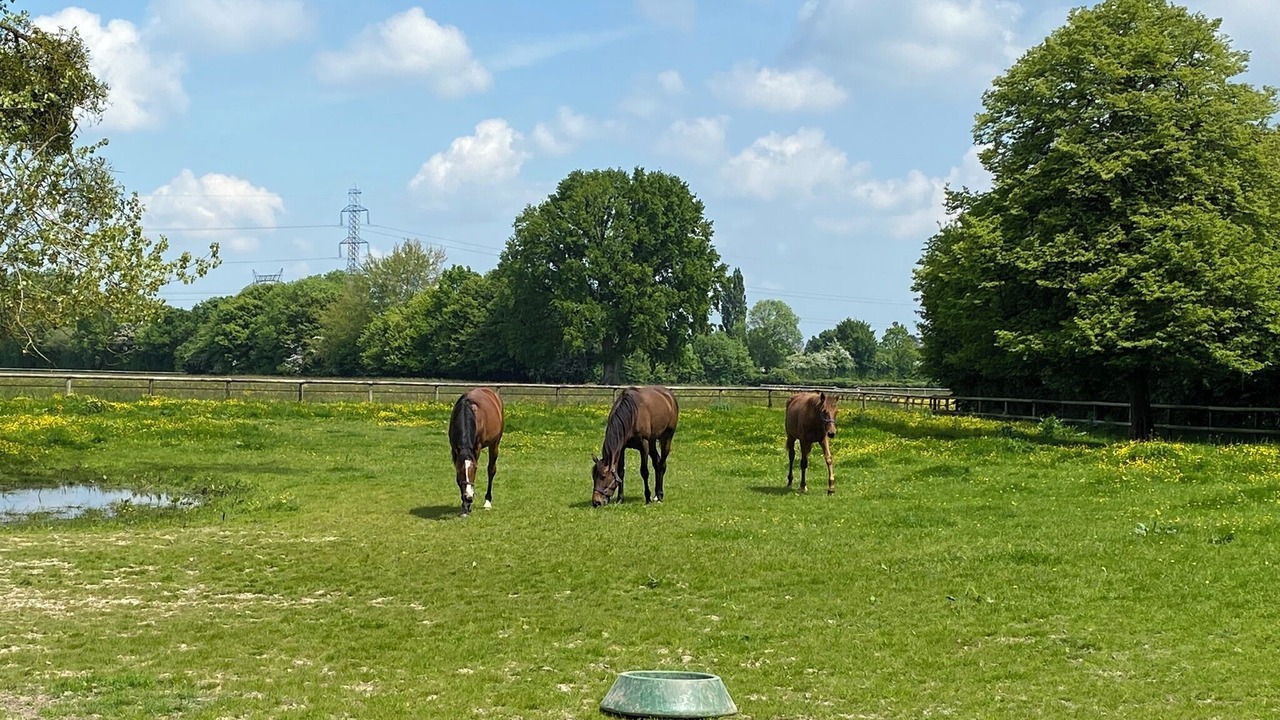 Photo of Others in Moyaux