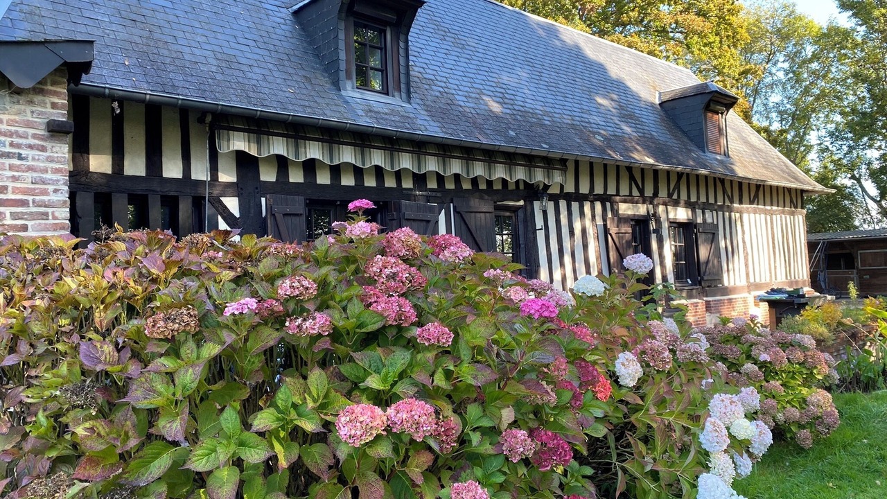 Photo of Outdoor in Moyaux