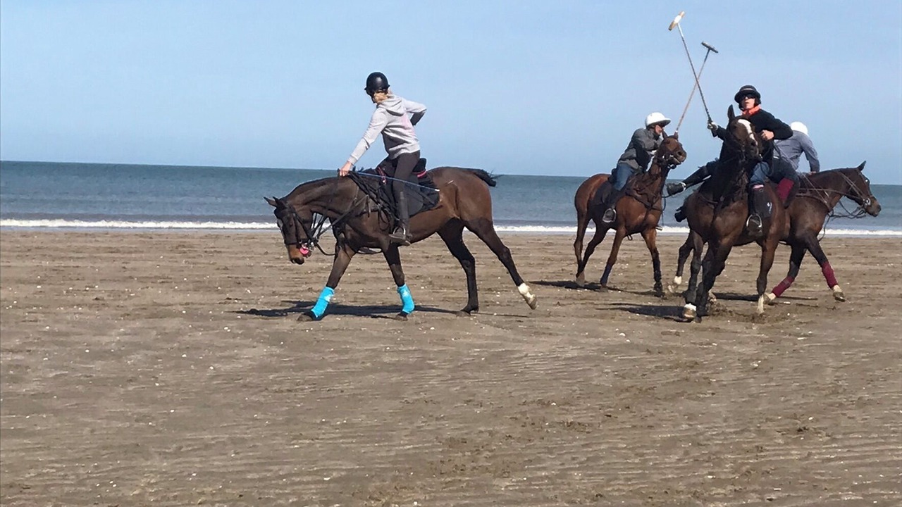 Photo of Others in Moyaux