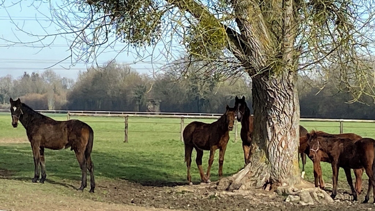 Photo of Outdoor in Moyaux