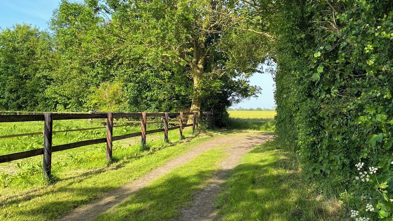 Photo of Others in Moyaux