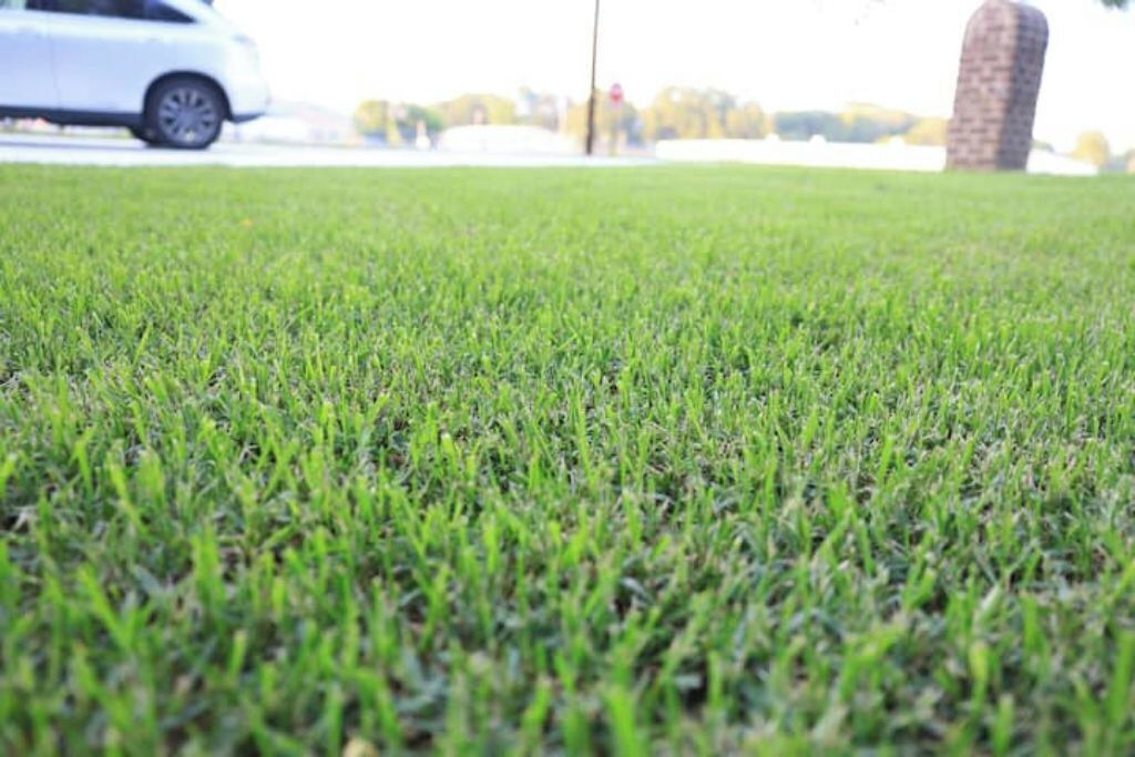 Photo of Others in Oneonta