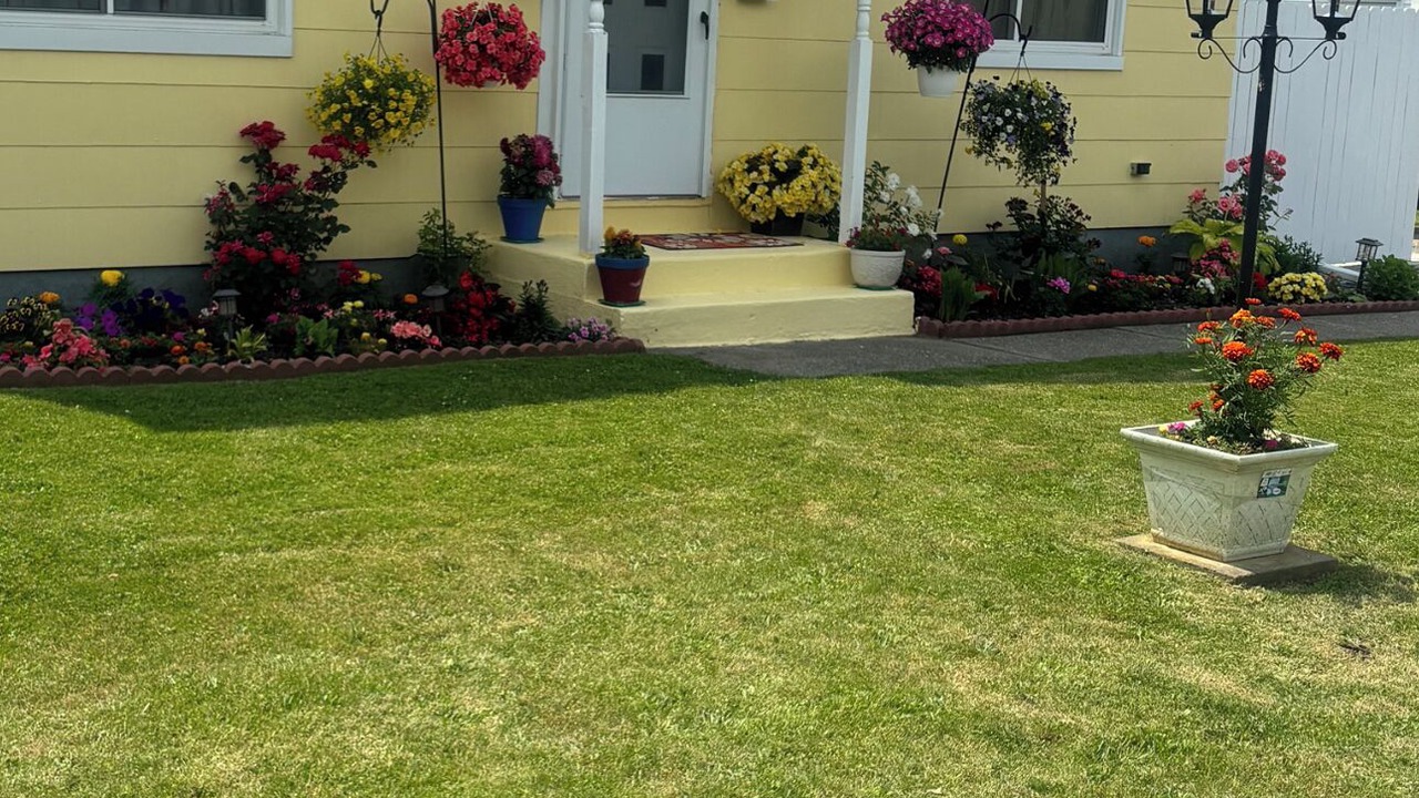 Photo of Outdoor in Cheektowaga