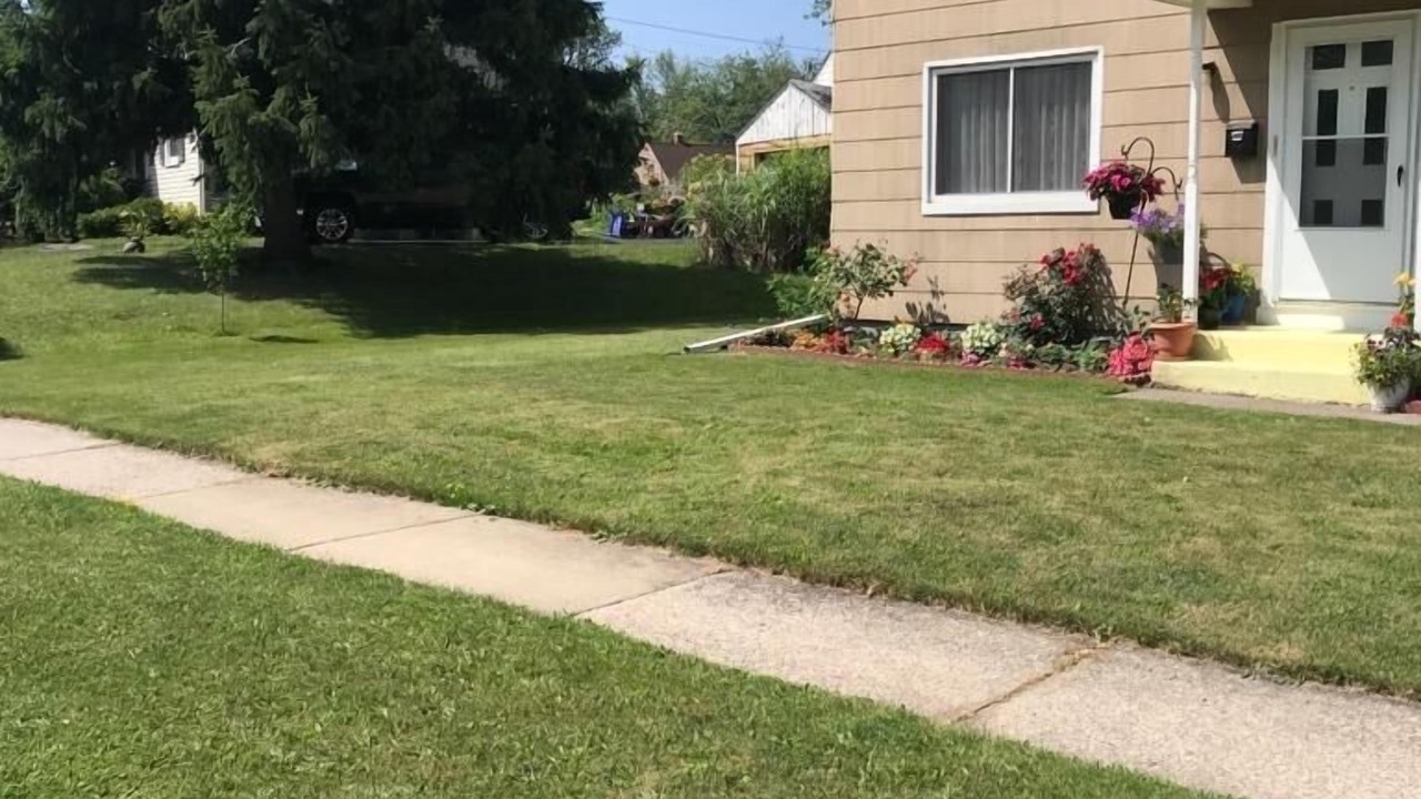 Photo of Outdoor in Cheektowaga