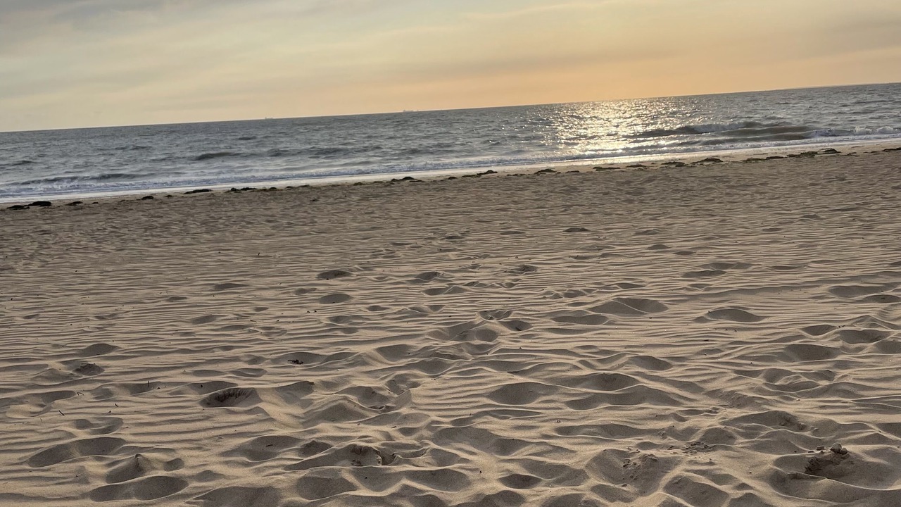 Photo of Others in Port District