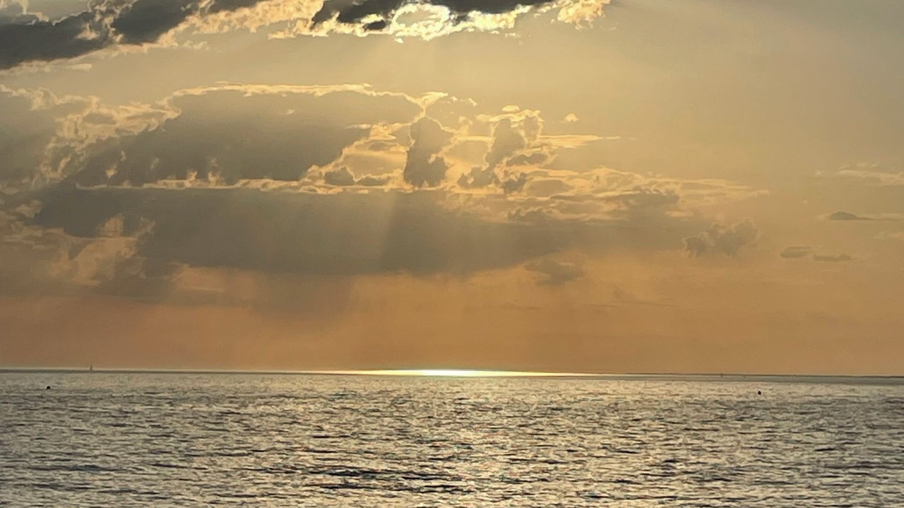 Photo of Others in Port District