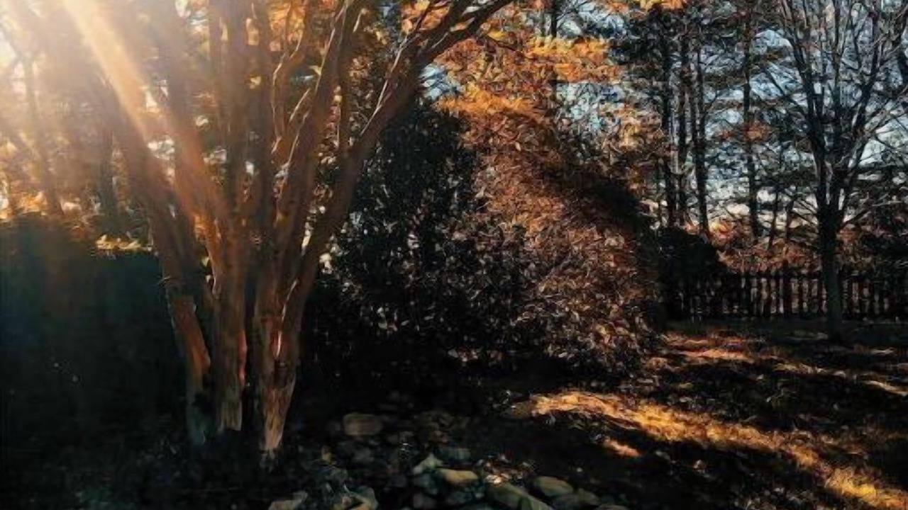 Photo of Outdoor in Roanoke