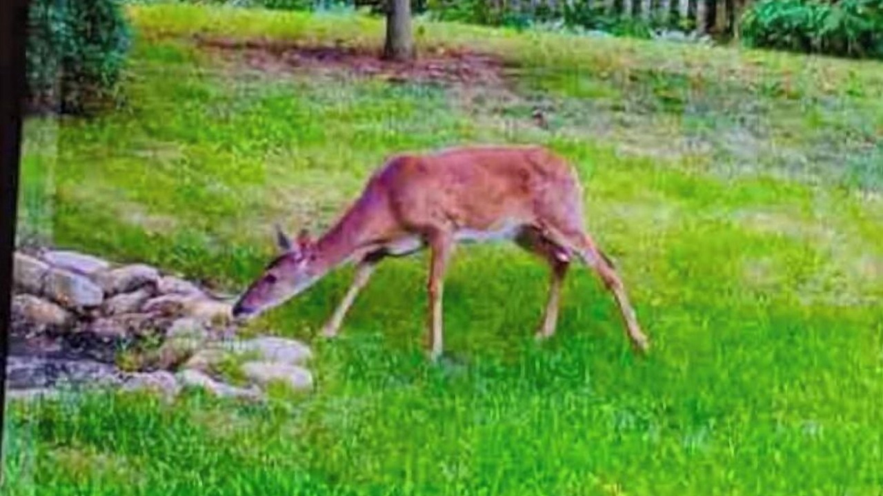 Photo of Others in Roanoke