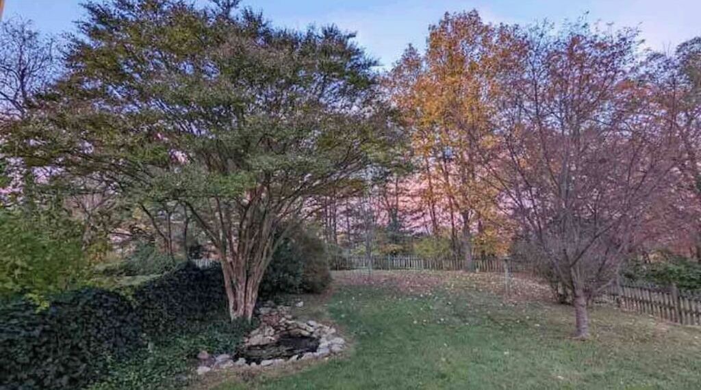Photo of Outdoor in Roanoke