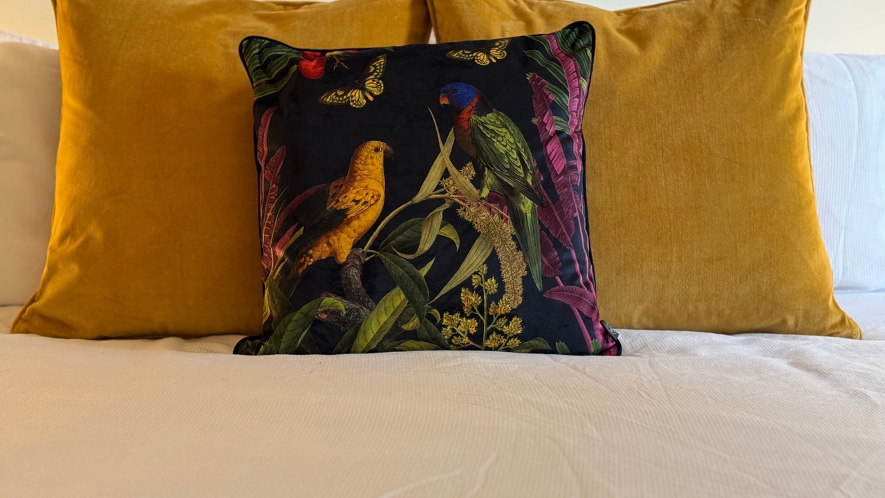 Photo of Others in Sheffield City Centre