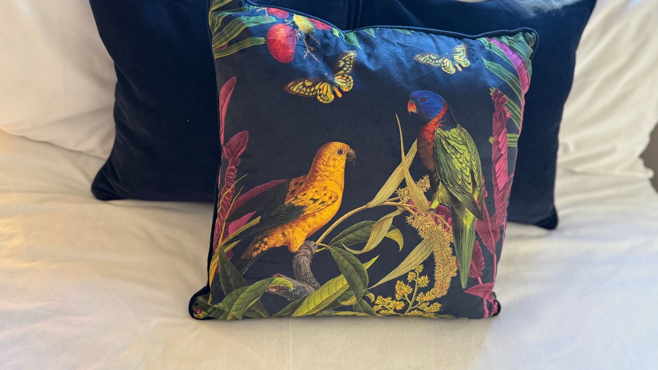 Photo of Others in Sheffield City Centre