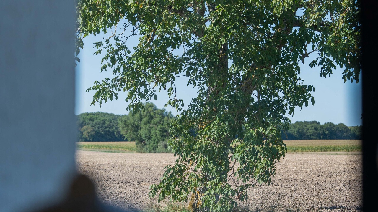 Photo of Others in Huisseau-sur-Mauves