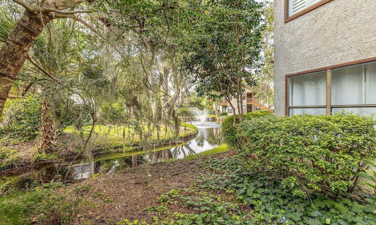 Photo of Outdoor in Saint Simons Heights