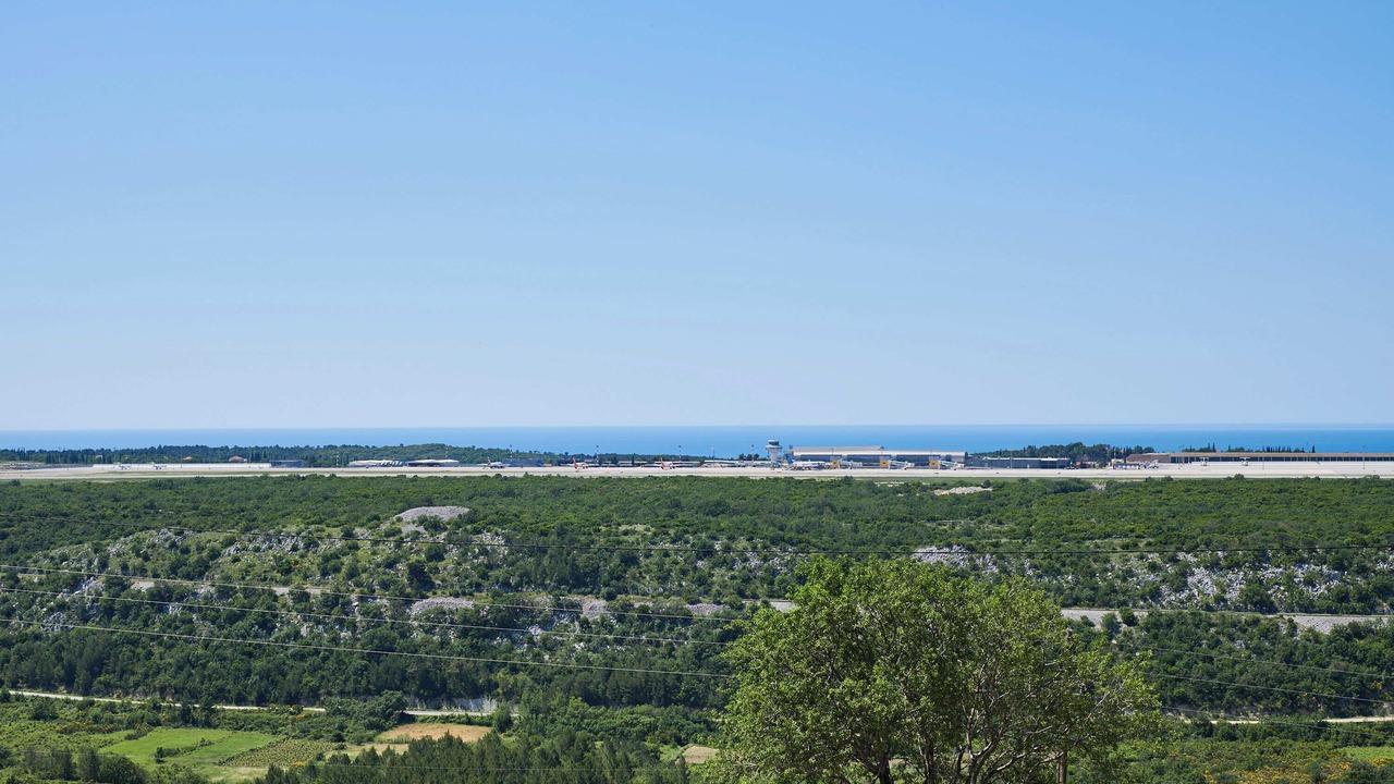 Photo of Others in Popovici