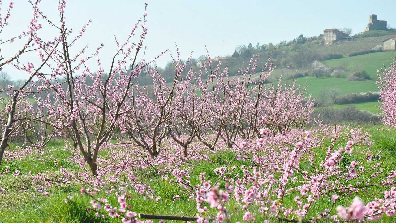 Photo of Outdoor in Saint-Laurent-d'Agny