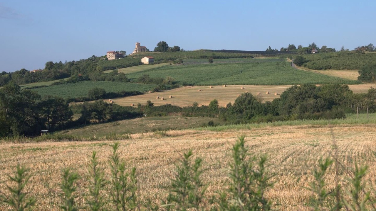Photo of Others in Saint-Laurent-d'Agny