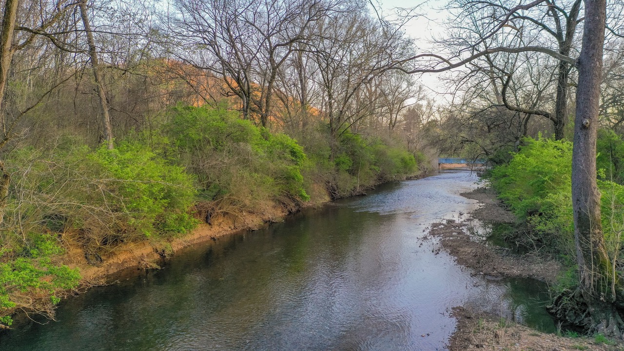 Photo of Others in Whites Creek