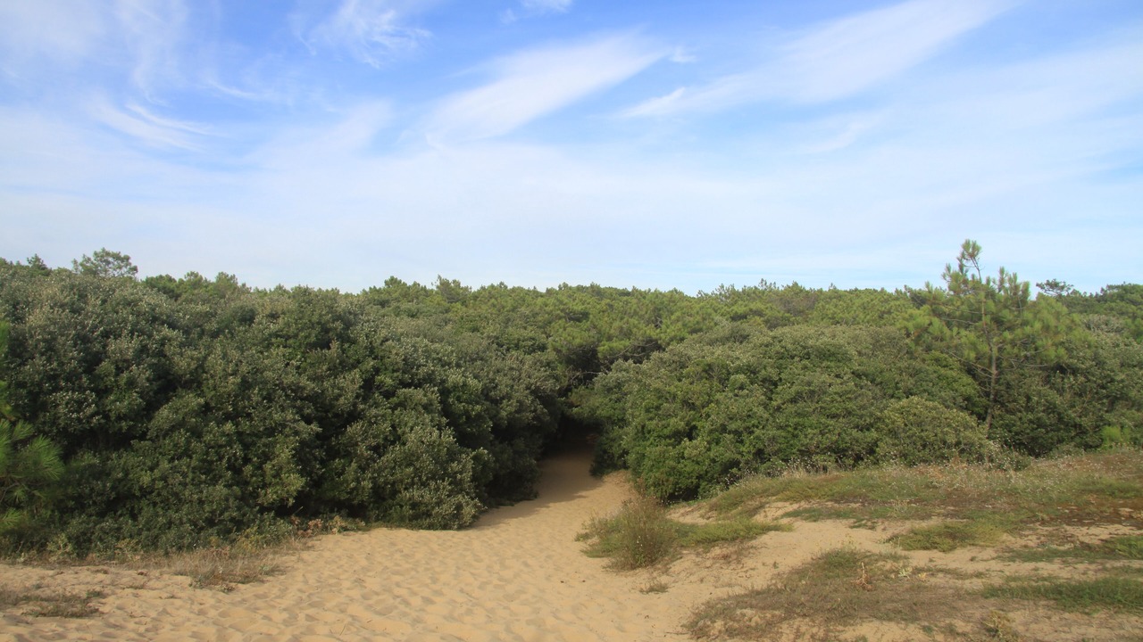 Photo of Outdoor in Les Conches
