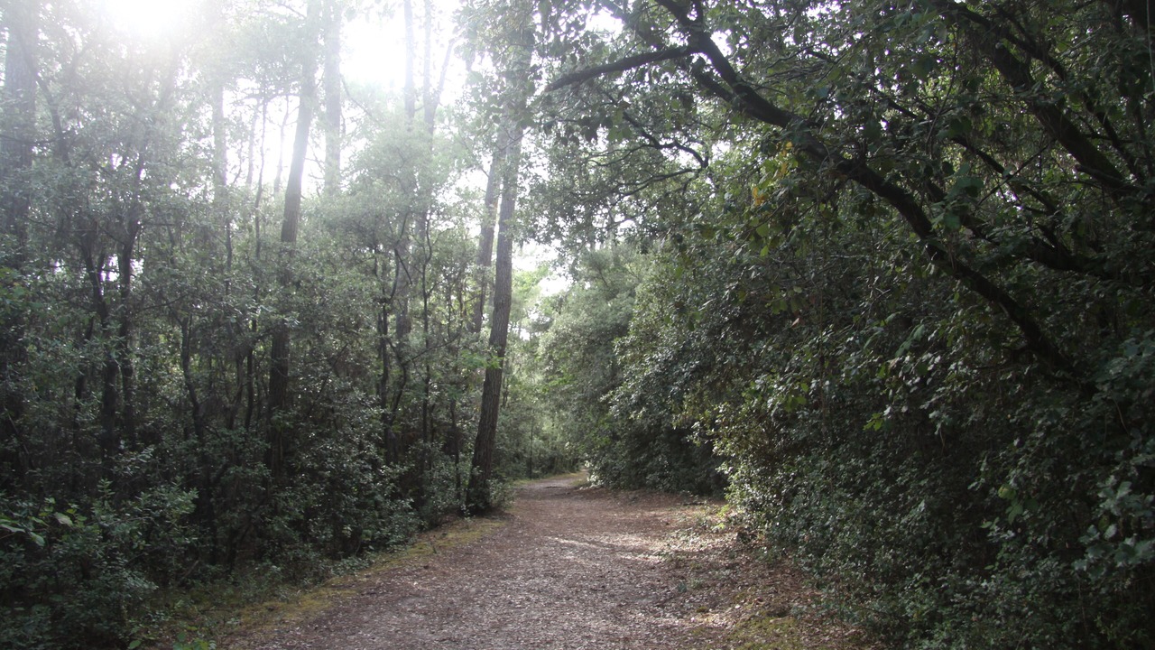 Photo of Outdoor in Les Conches