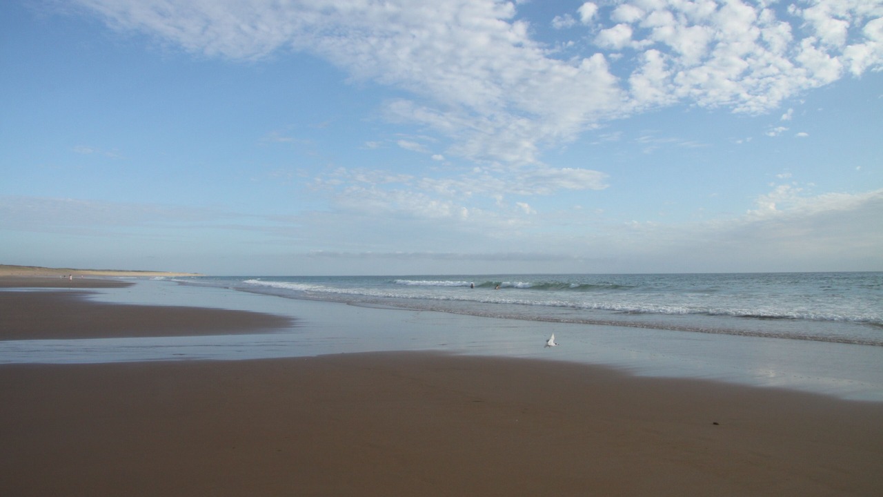 Photo of Others in Les Conches
