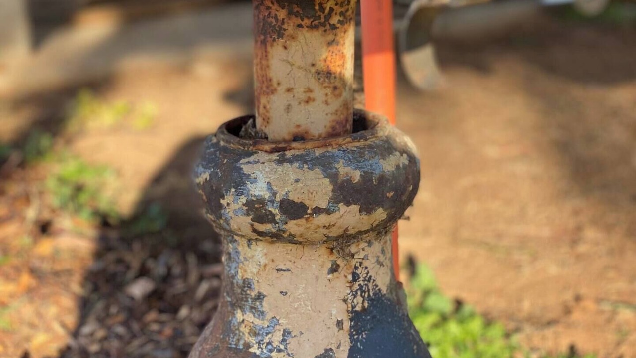 Photo of Others in Perthville