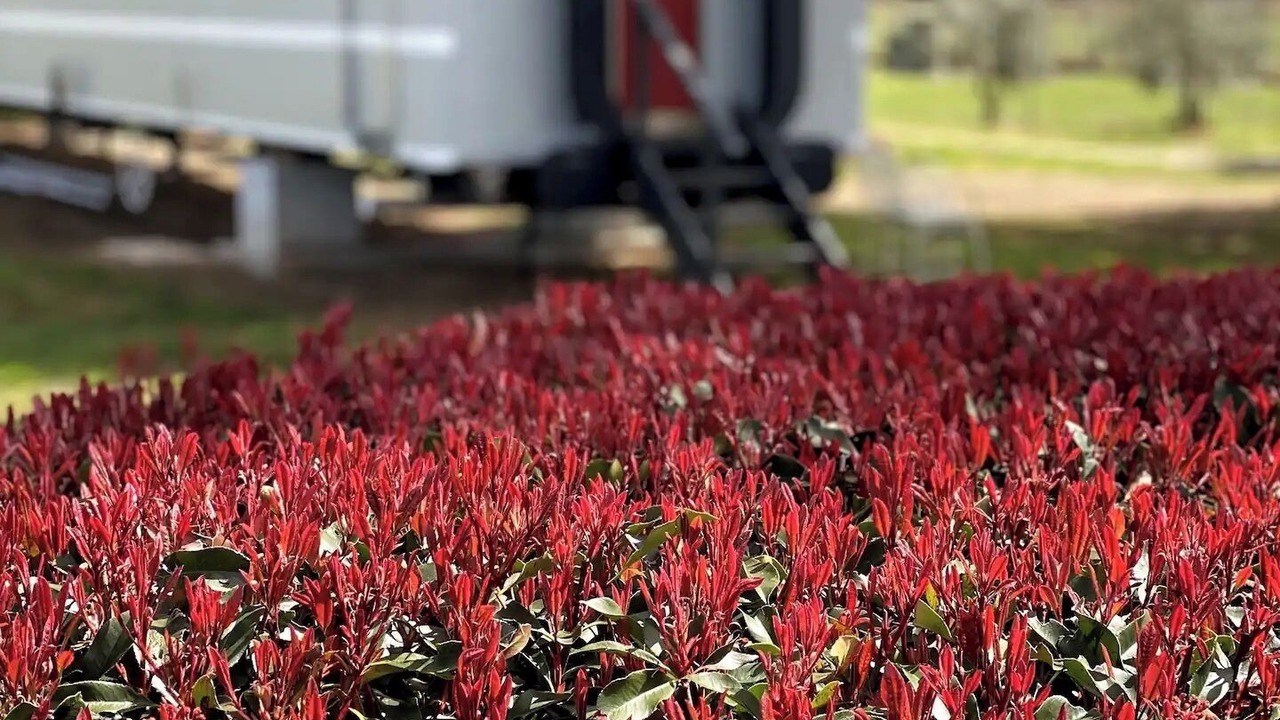 Photo of Outdoor in Perthville